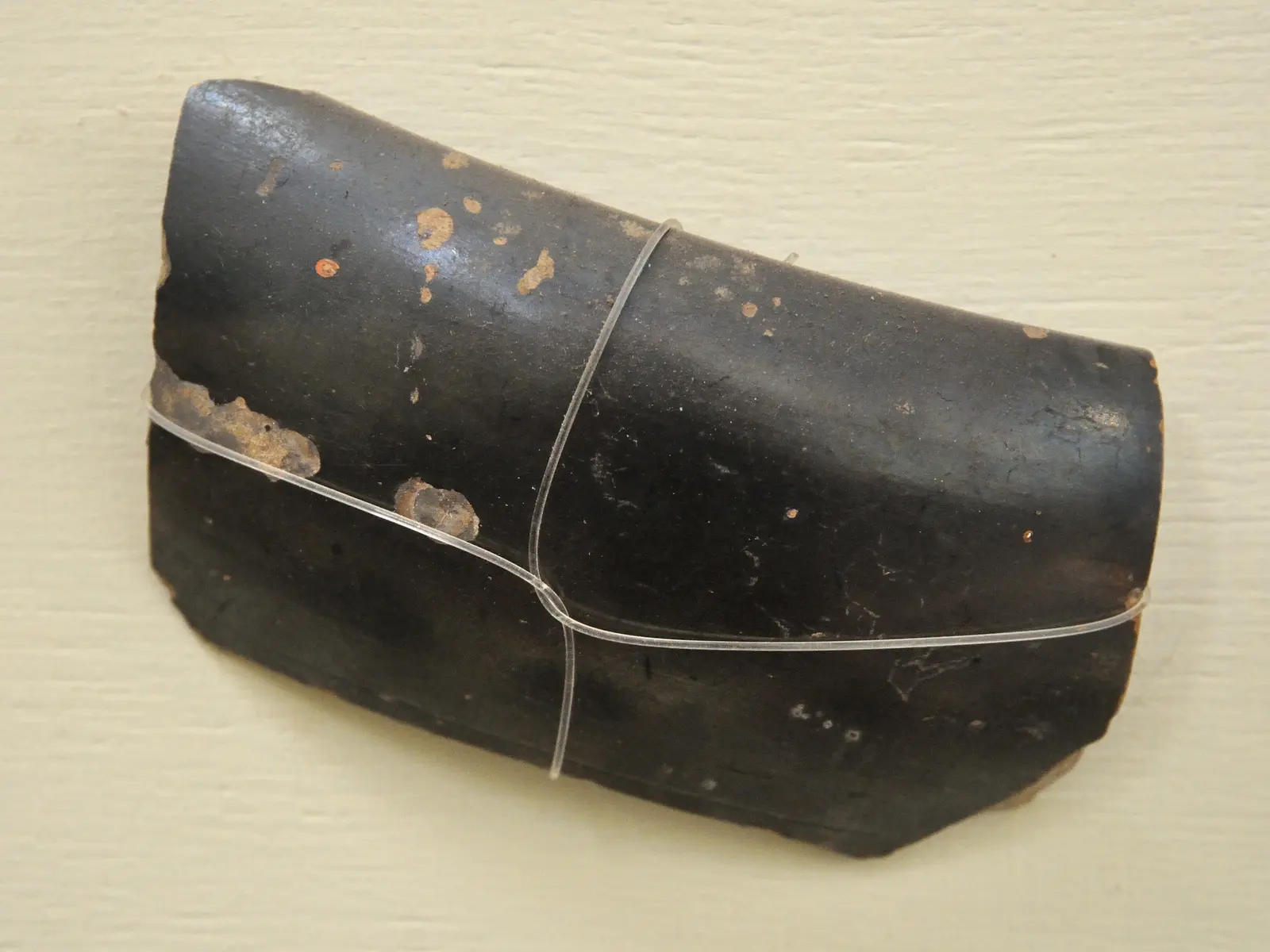 Fragment of Northern Black Polished Ware from Sonkh in Uttar Pradesh